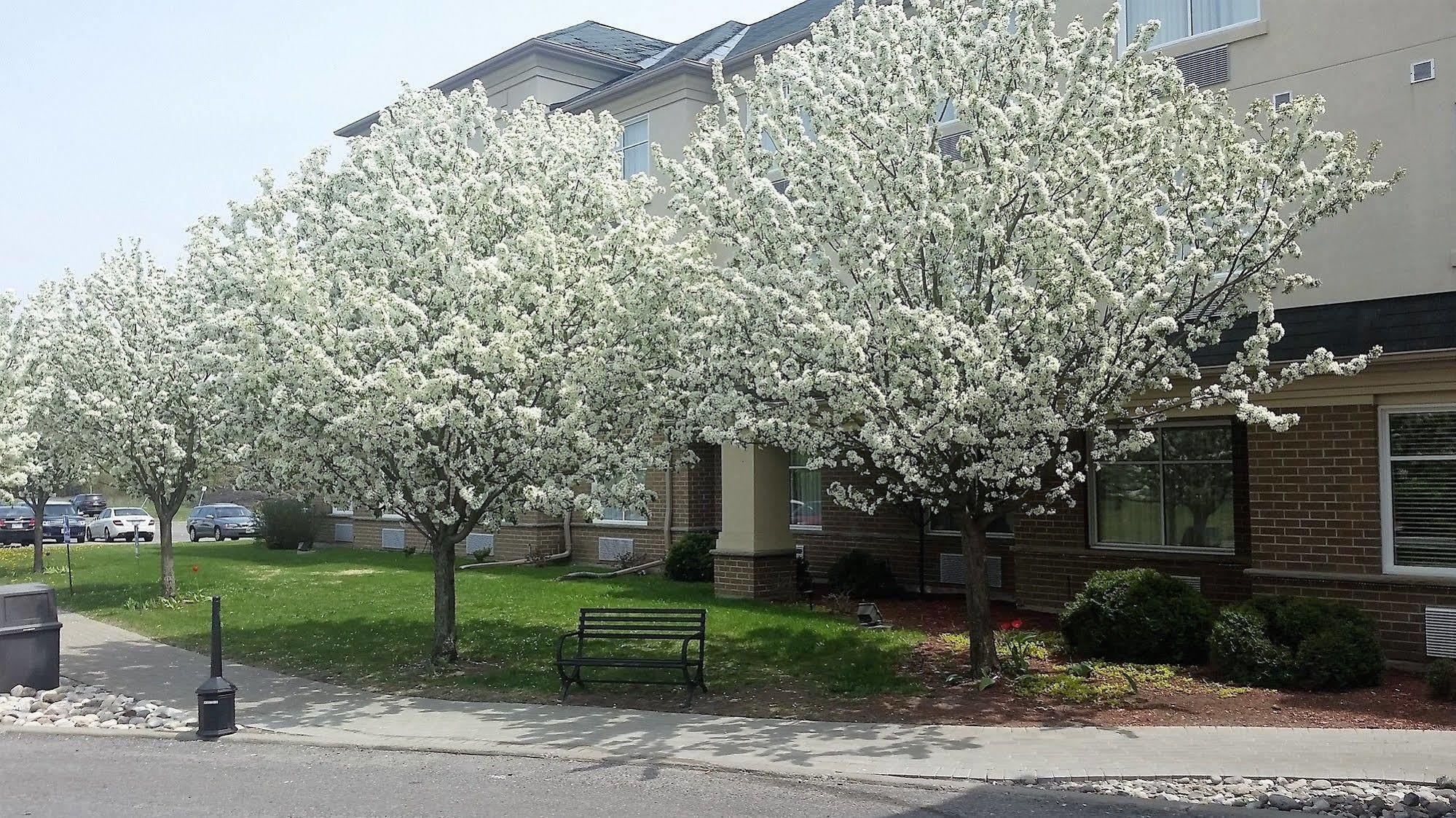 Days Inn By Wyndham Ottawa Airport Exterior foto